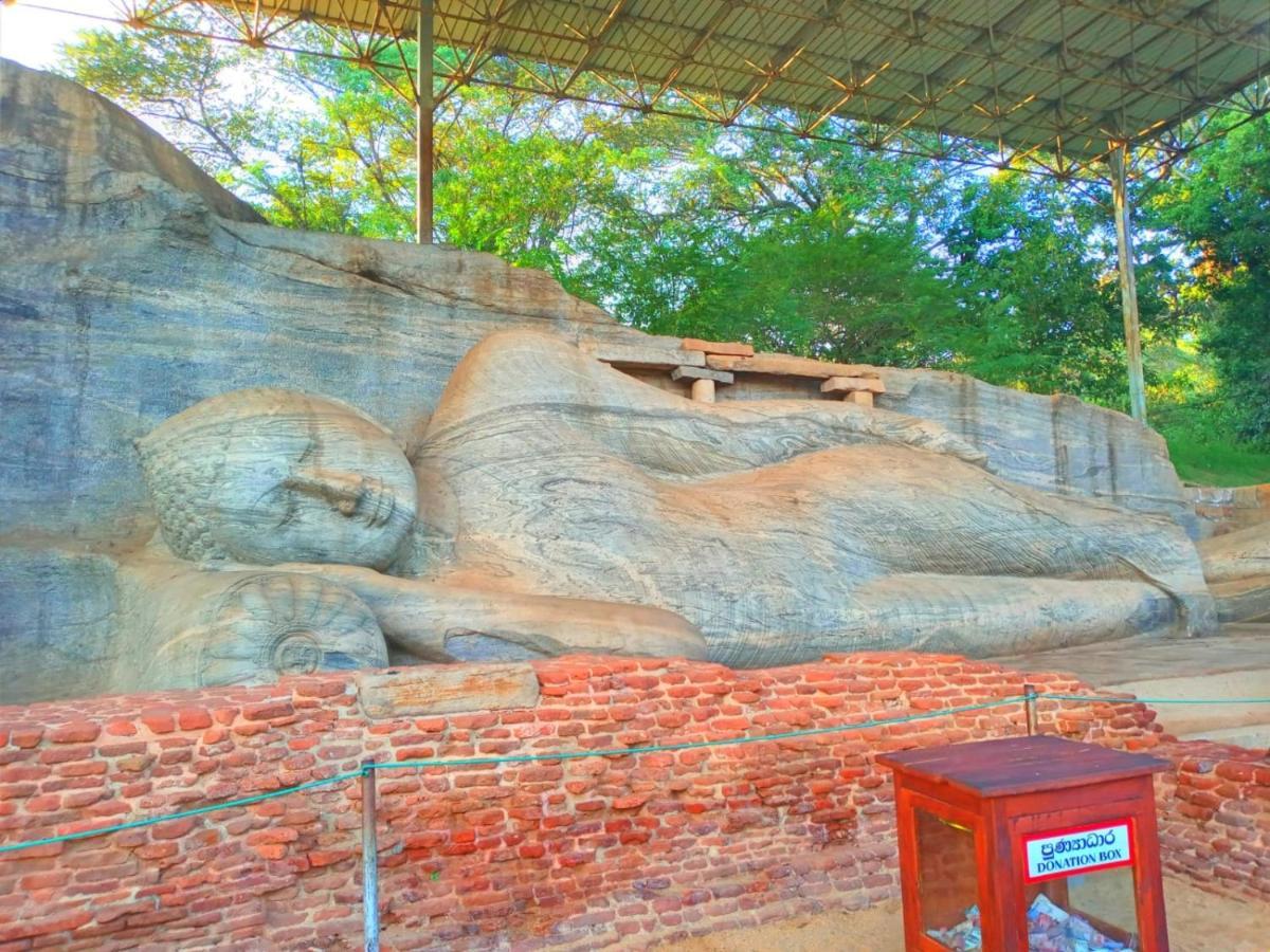 Royal Nest Bed & Breakfast Polonnaruwa Exterior photo